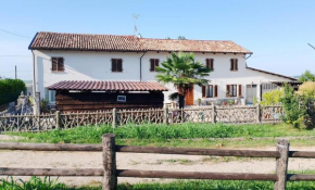 La vigna